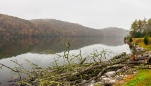 Oak Ridge Scenic