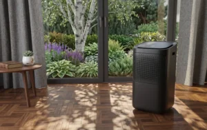 Top Tips to Keep Your Home Cool with an Efficient Cooling System 4 Portable black air conditioner unit on a wooden floor inside a room with large windows and curtains
