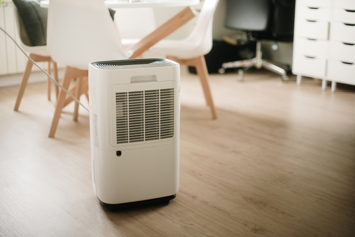Signs Your Home Needs a Dehumidifier: Ideal Humidity Levels Explained