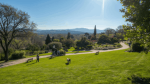 A Living Legacy of the Marble City: Knoxville Botanical Garden and Arboretum